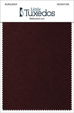 Signature Burgundy Fabric Swatch