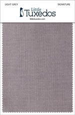 Signature Light Grey Fabric Swatch