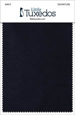 Signature Navy Fabric Swatch