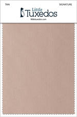 Signature Tan Fabric Swatch