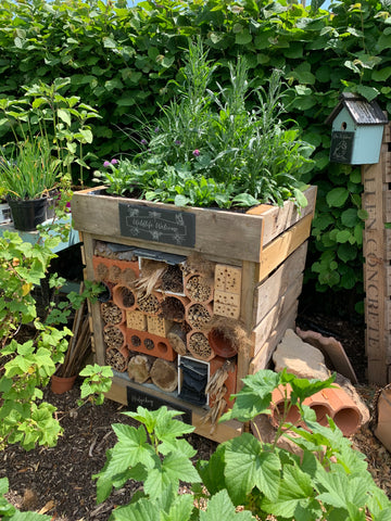 Bug hotel and wildlife house 