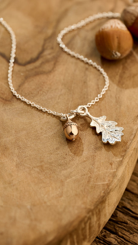 acorn-silver-&-rose-gold-necklace.jpg__PID:0c68d30e-b793-4863-a8b5-d87793aedf94