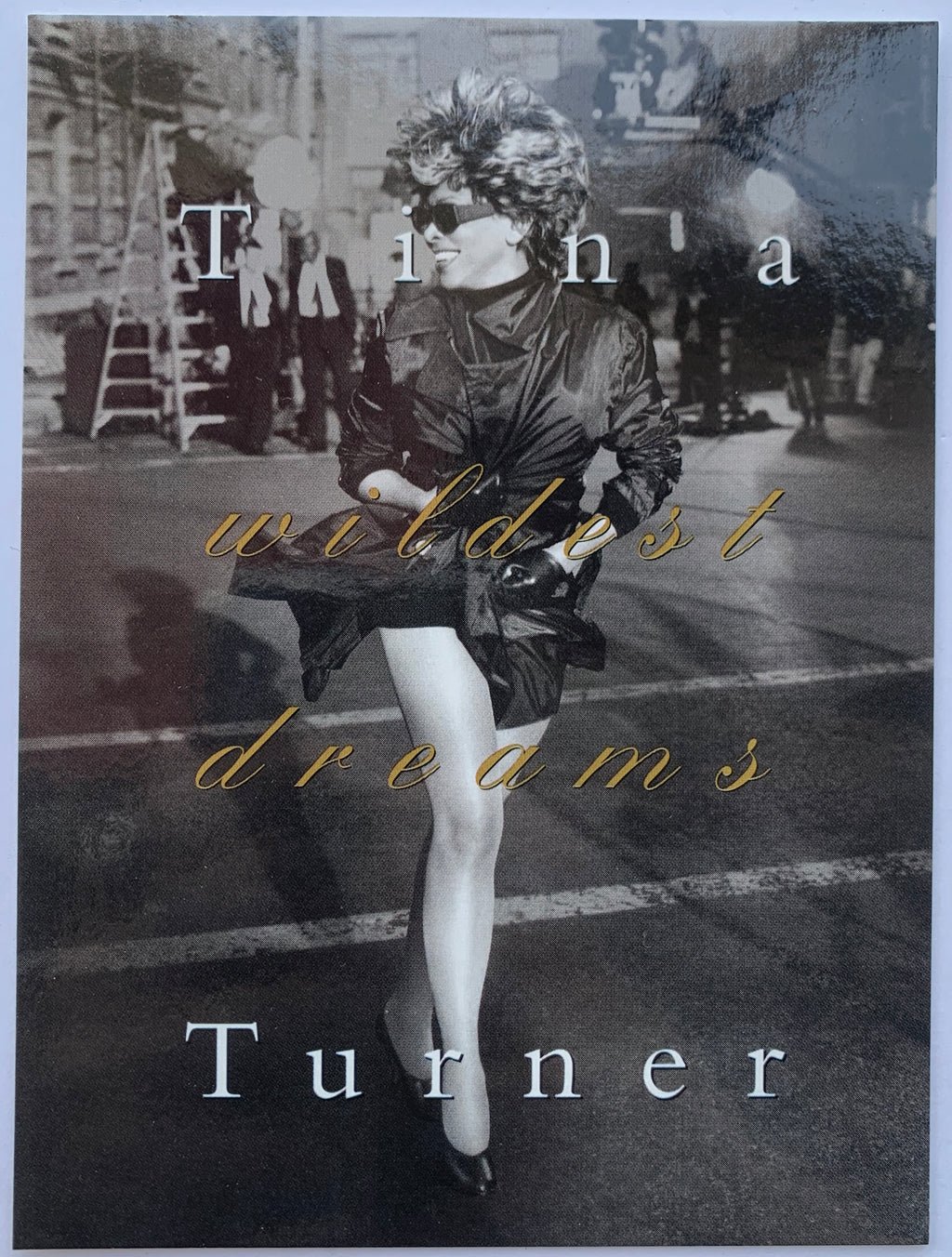 80S TINA TURNER HANES SMOOTH ILLUSIONS DEPT STORE SHOPPING BAG.