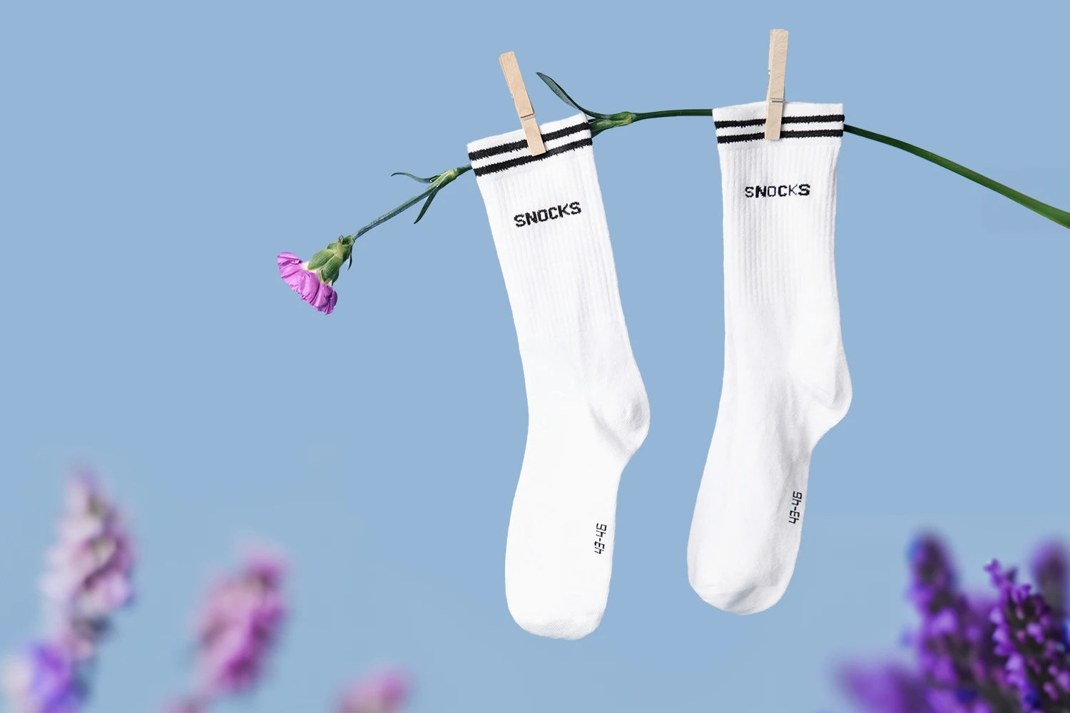 Entdecke jetzt unsere Premium Sneaker Socken.