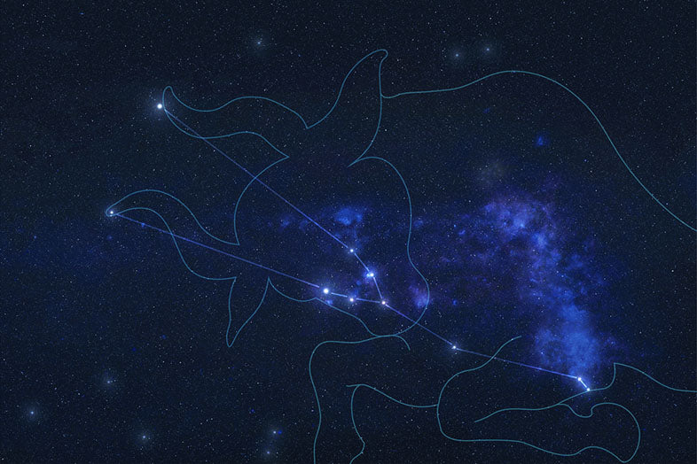 taurus stars sky