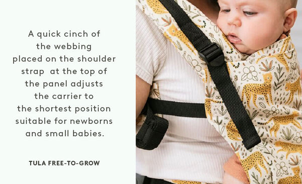 An image showing a baby in Tula Free-to-Grow baby carrier