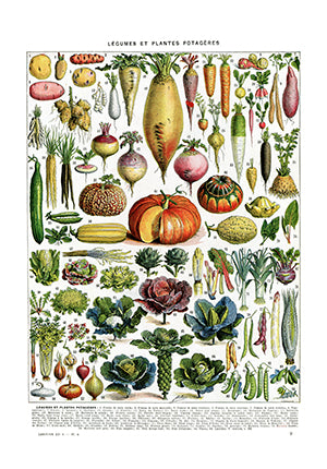 Millot-vegetables-poster