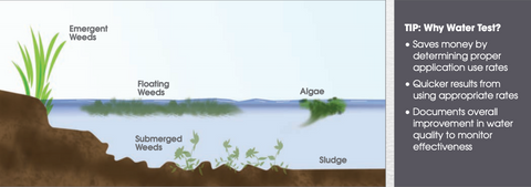 Precision Labs chart on a basic eco shot of a pond environment, depicting algae, weeds and sludge in their prospective locations within the environment. | Mid-South Ag. Equipment