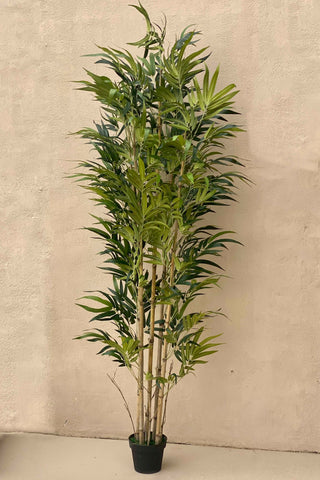 This is a product image of Artificial Bamboo Plant - 7.5 Feet (With Base Pot) on www.masonhome.in