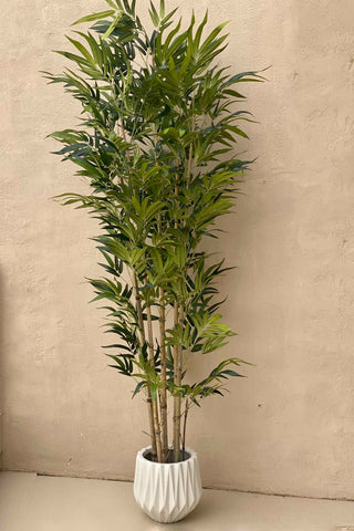 This is a product image of Artificial Bamboo Plant - 7.5 Feet (With Base Pot) on www.masonhome.in