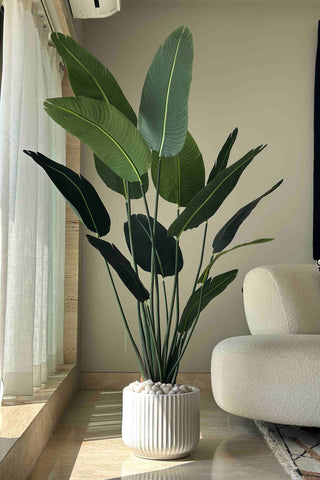 This is a product image of Artificial Travellers Palm - 6 Feet on www.masonhome.in