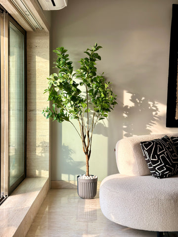 This is a product image of Artificila Bay Leaf Tree - 6 Feet on www.masonhome.in
