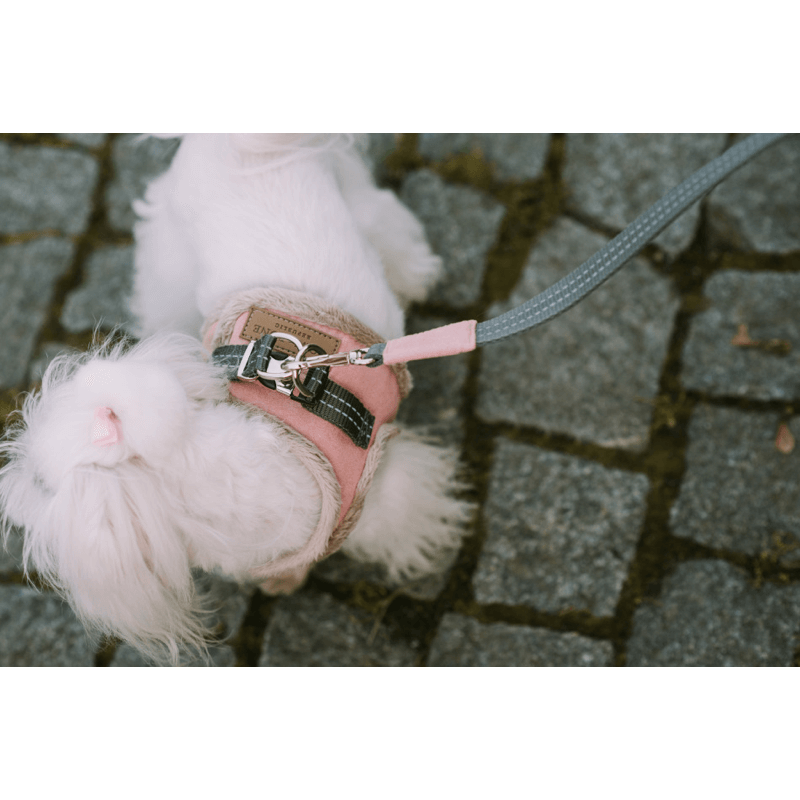 Yeti Dog Harness & Leash - Rose / Xs