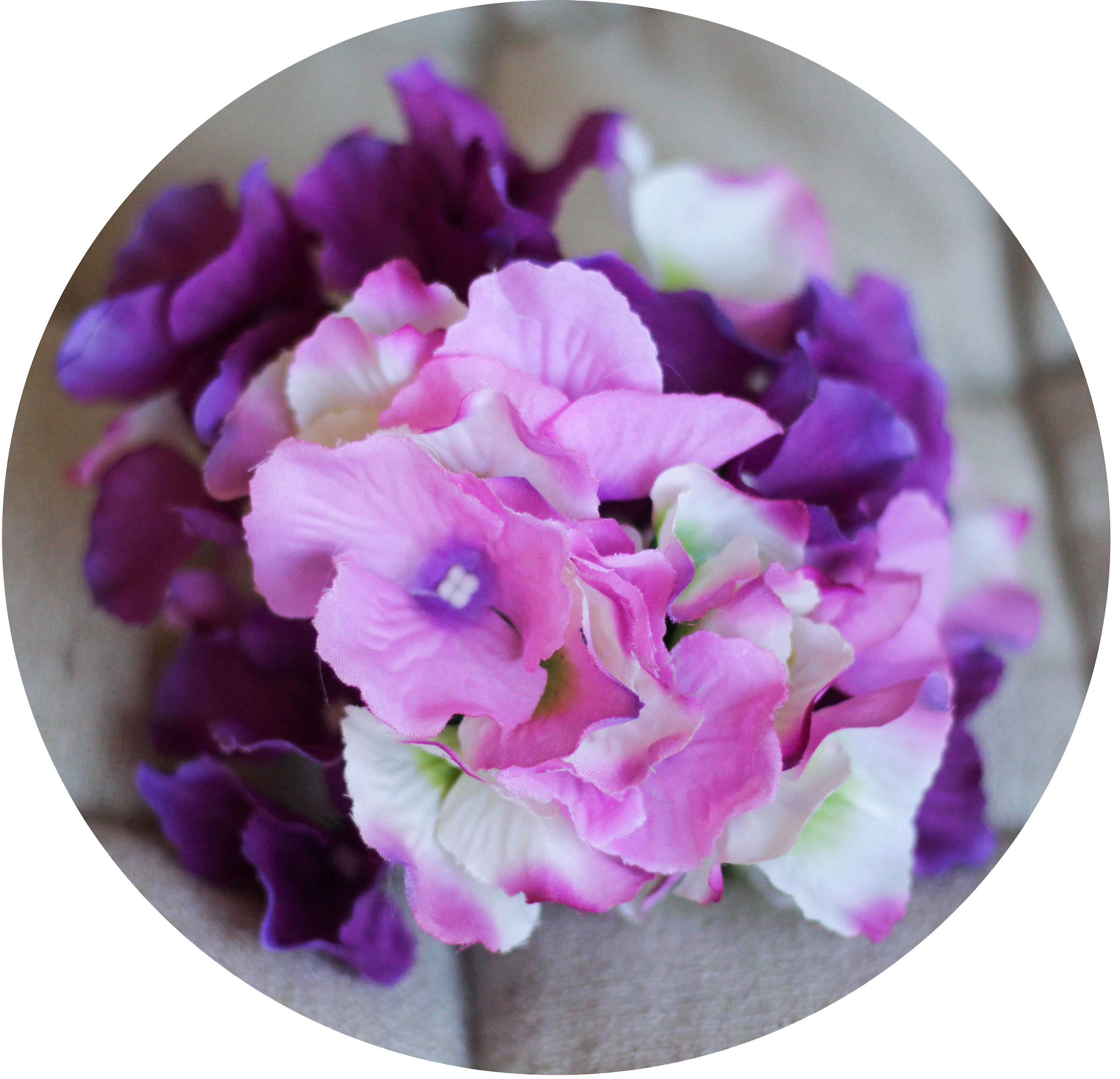 Hortensia morada – PRUNE THE FLOWERS