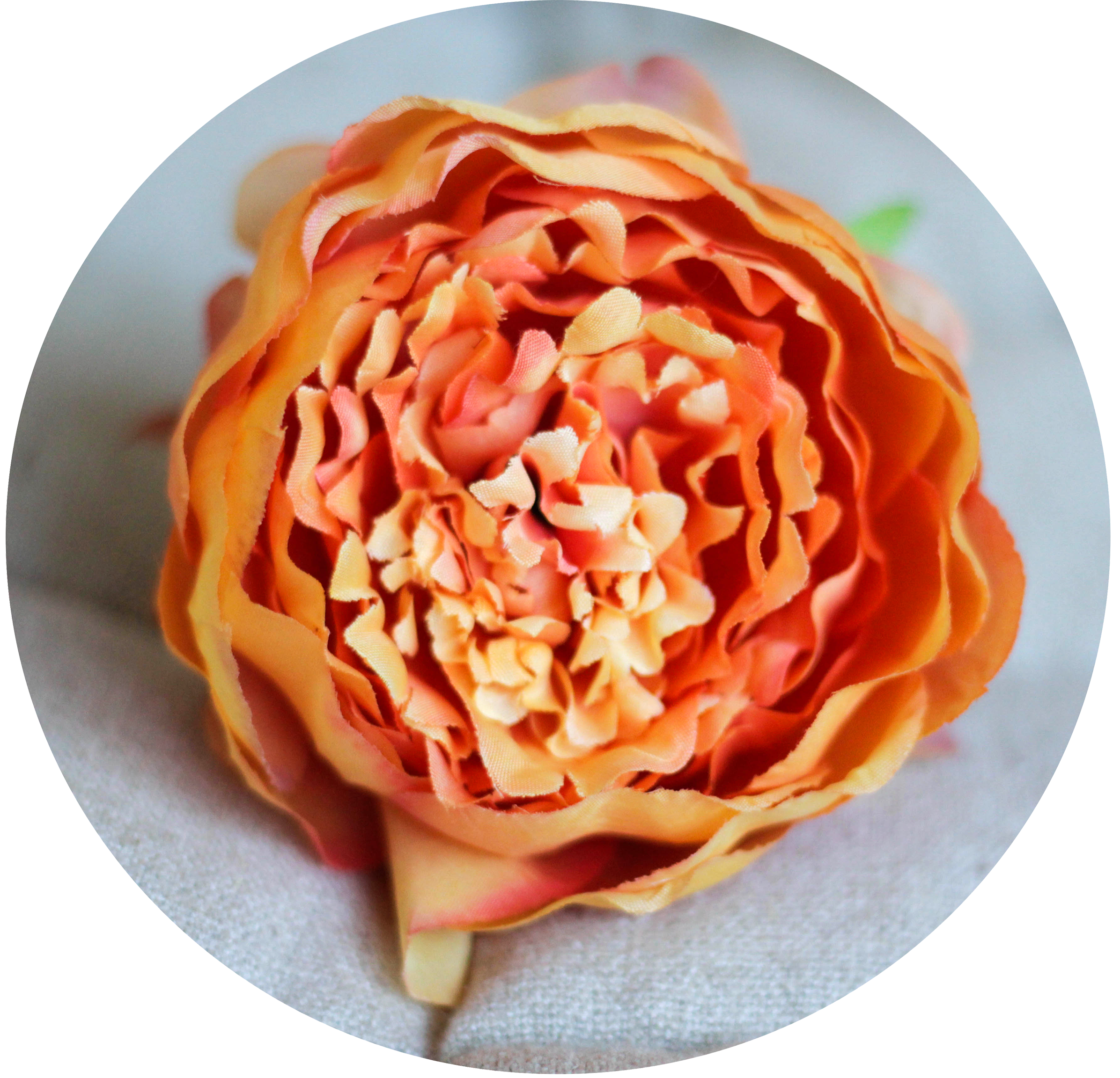 Peonia Naranja – PRUNE THE FLOWERS