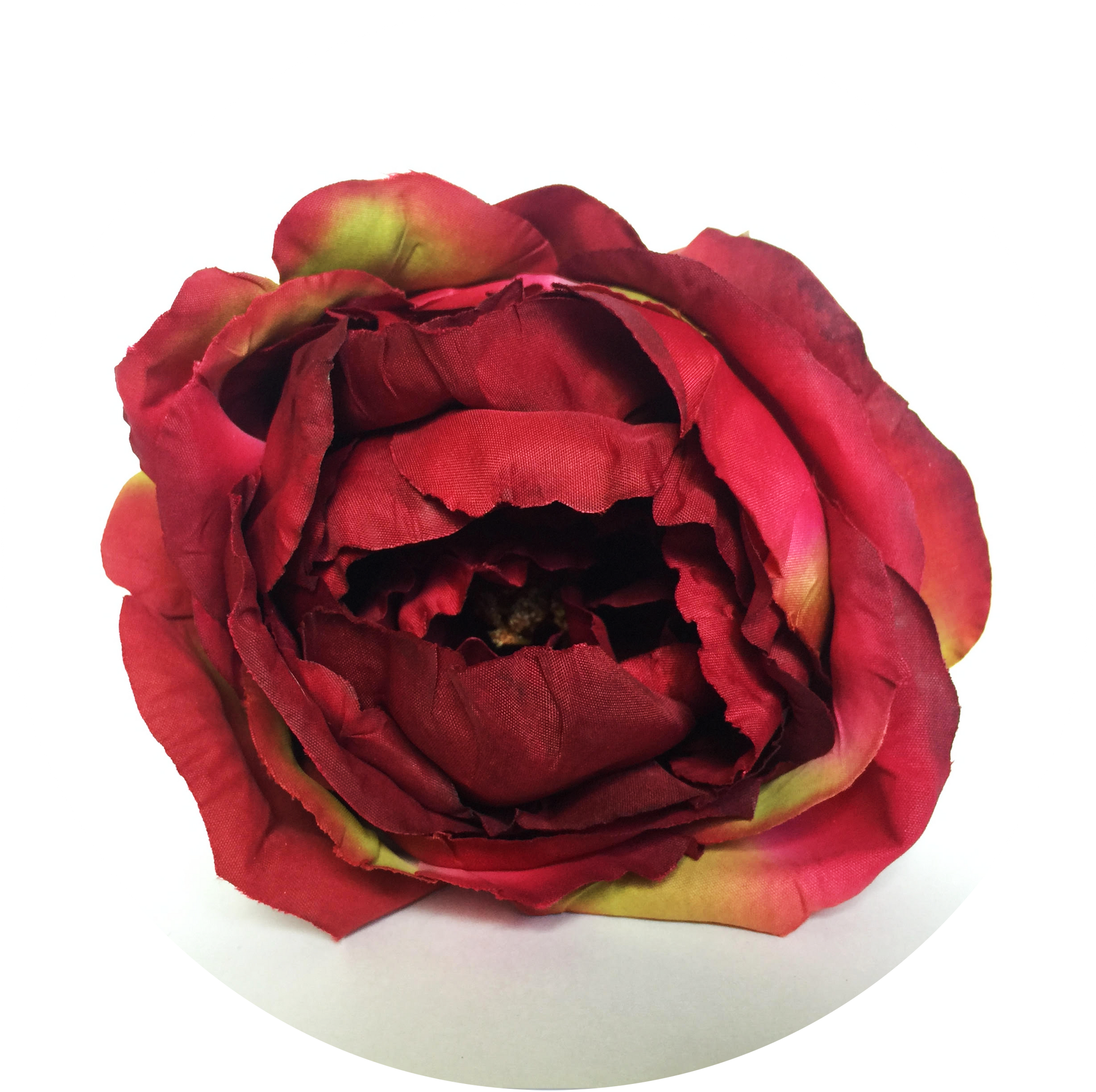 Peonia roja degradada – PRUNE THE FLOWERS