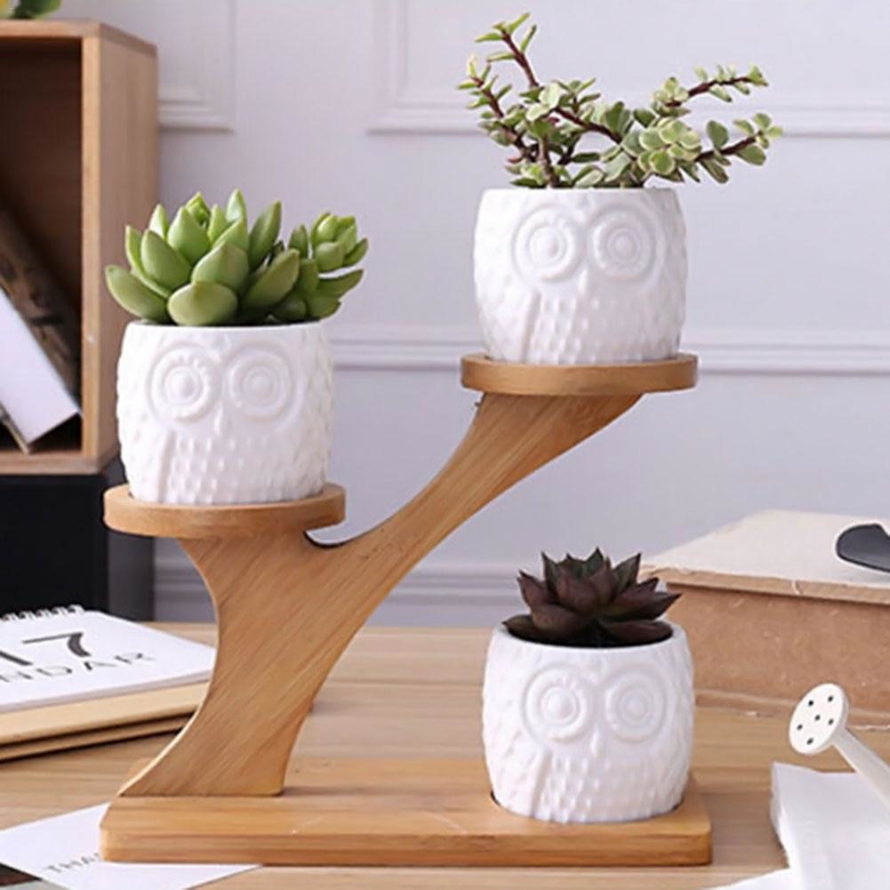 Mini Wood / Ceramic Owl Succulent Planter Pot Set