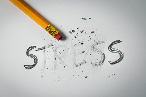 The word stress being erased