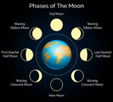 Lunar Cycle 