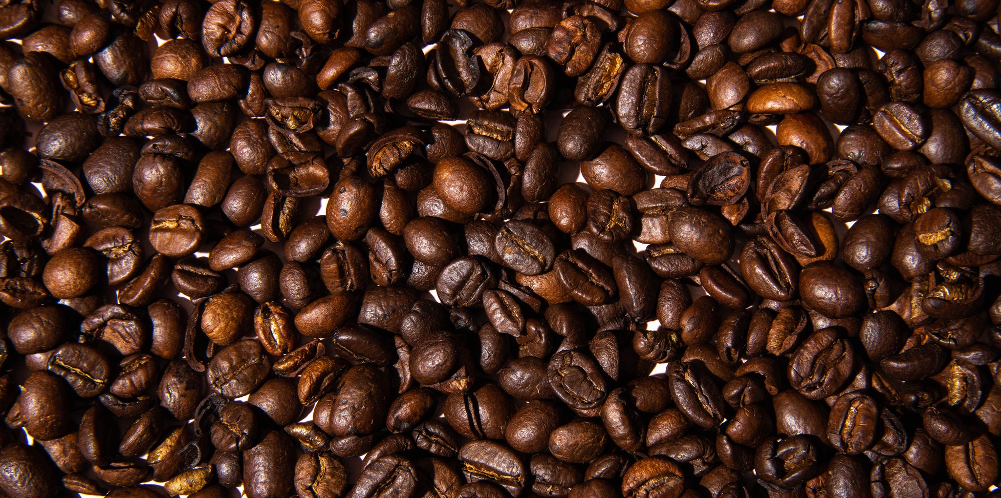 Coffee beans from Da Lat, Vietnam