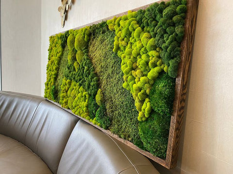 10 Renter-Friendly Biophilic Decor Ideas to Bring Nature Into Your Hom