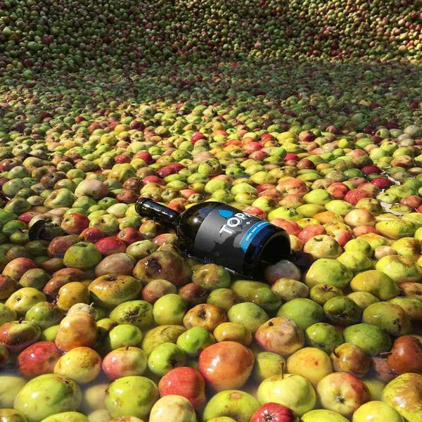 Cidre basque - TOP 10 des meilleurs produits basques