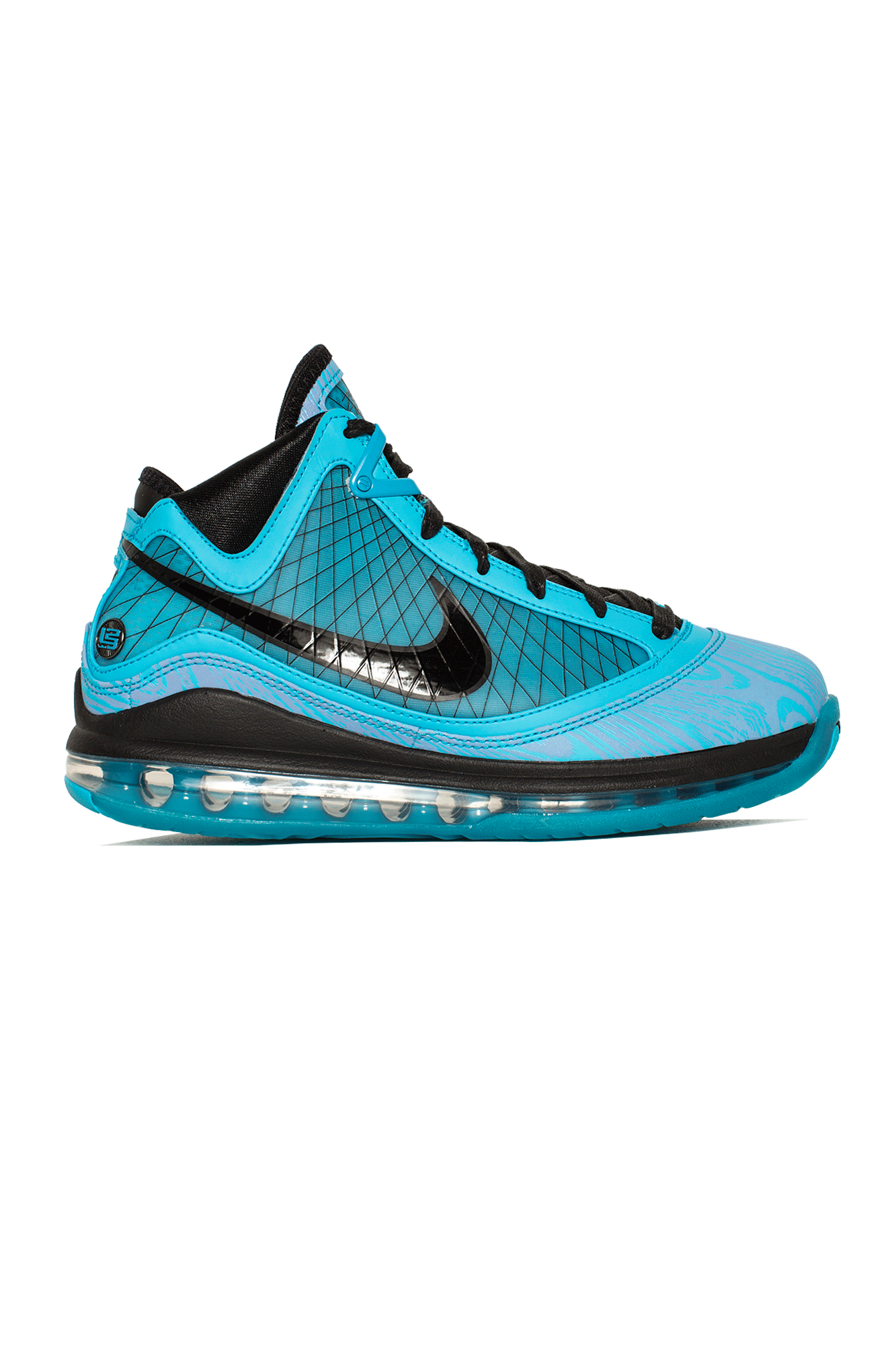 nike James Lebron 10 Bruin