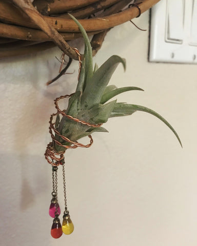 Copper Air Plant Wire Tillandsia Wire, Metal Stand, Spiral Plant