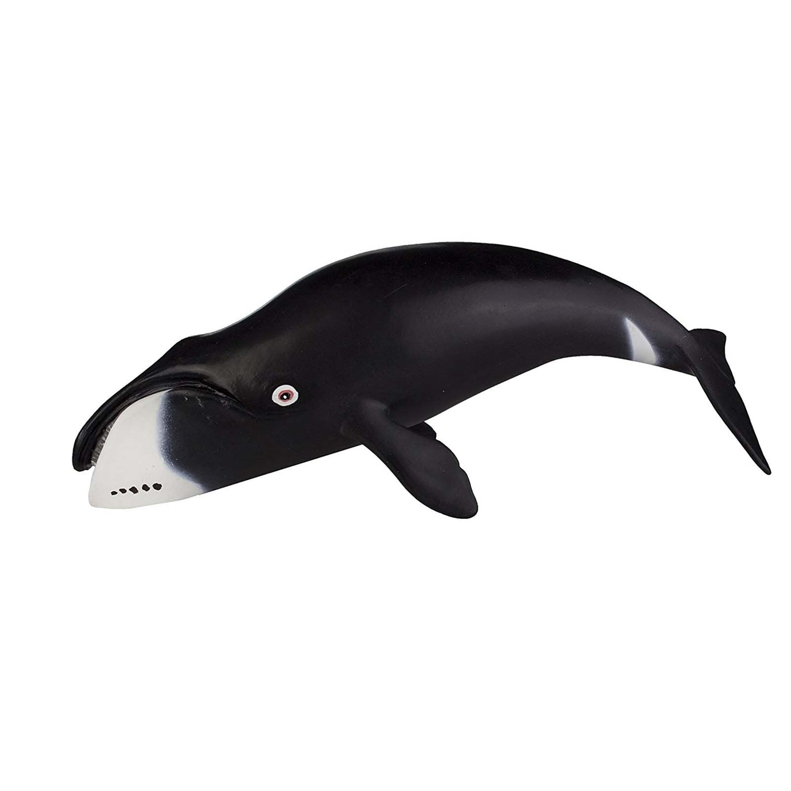 safari ltd bowhead whale