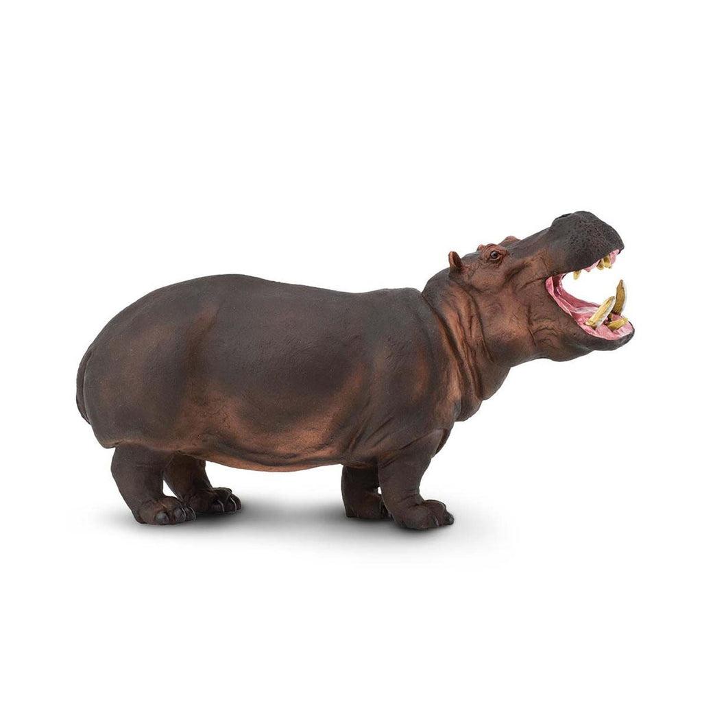 Hippopotamus Incredible Creatures Animal Figure Safari Ltd | Radar Toys