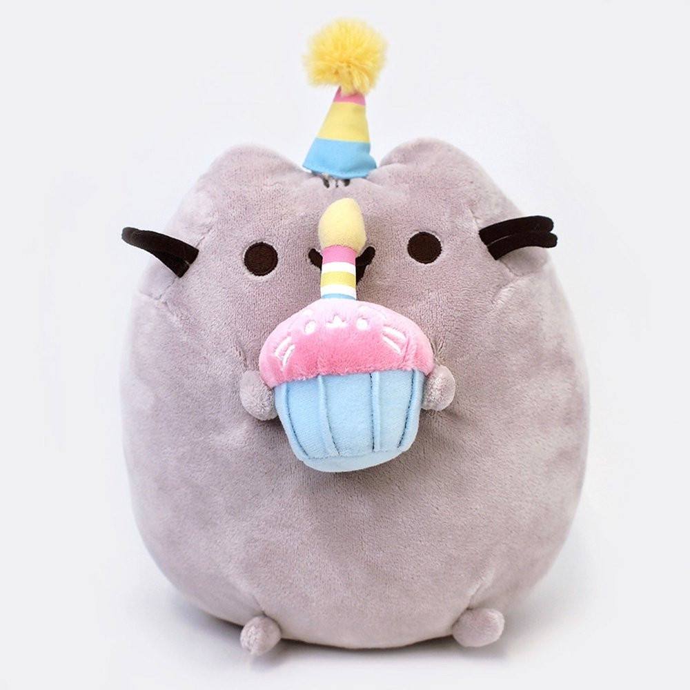 birthday pusheen plush