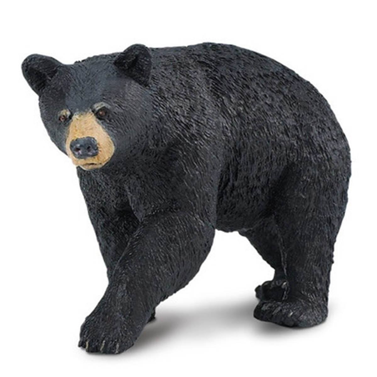 safari ltd bear