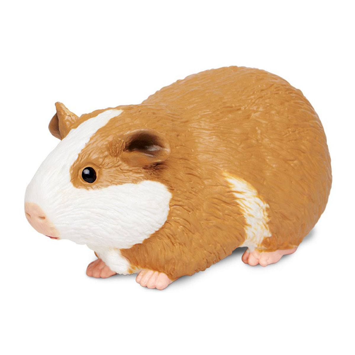 toy guinea pig