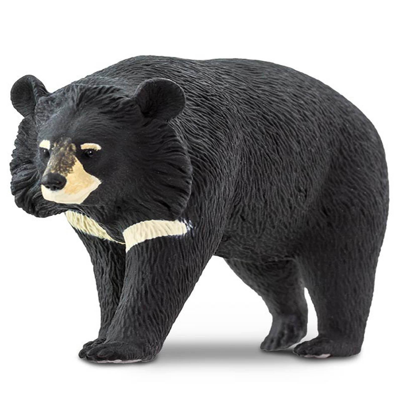 safari ltd bear