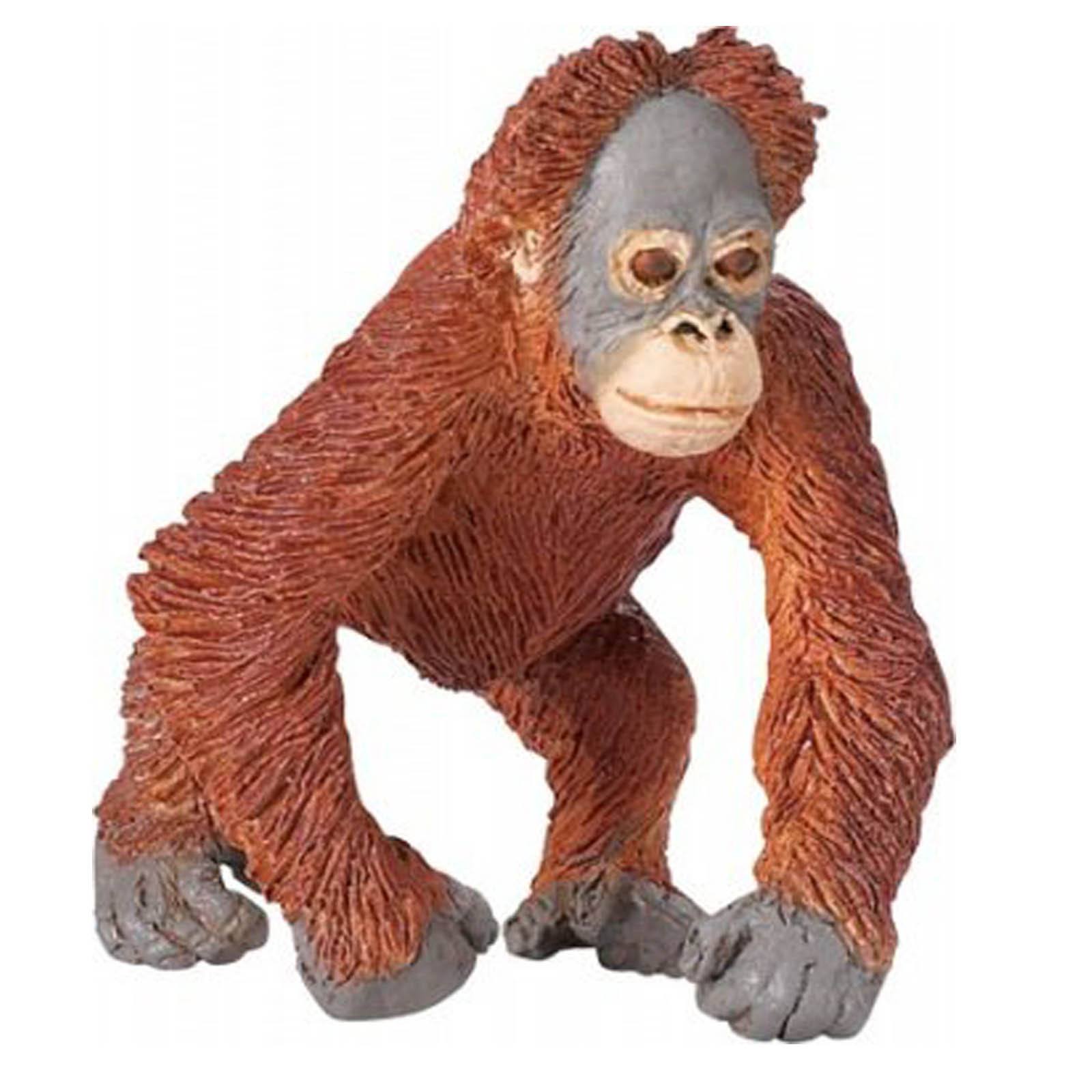 safari ltd orangutan