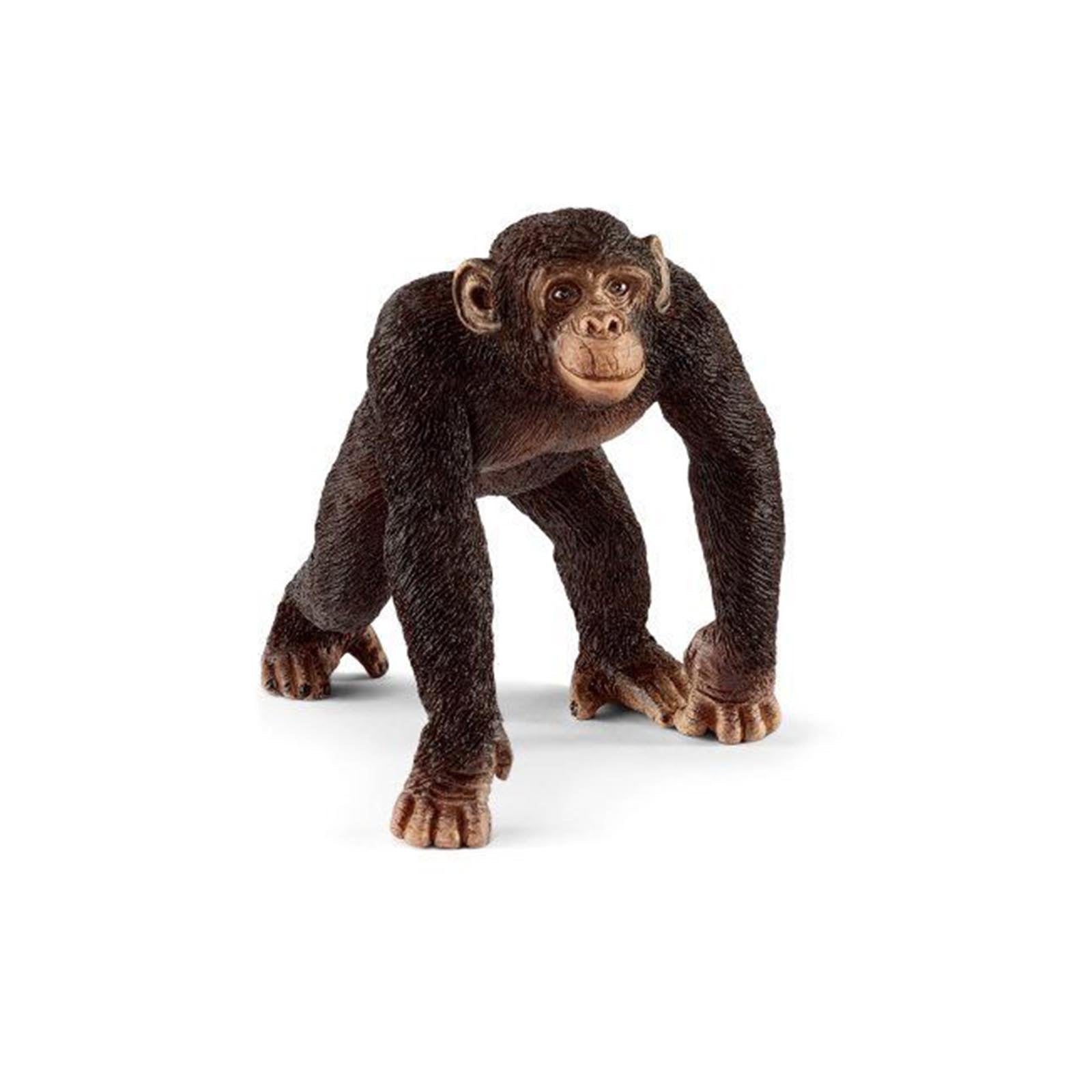 chimpanzee figures