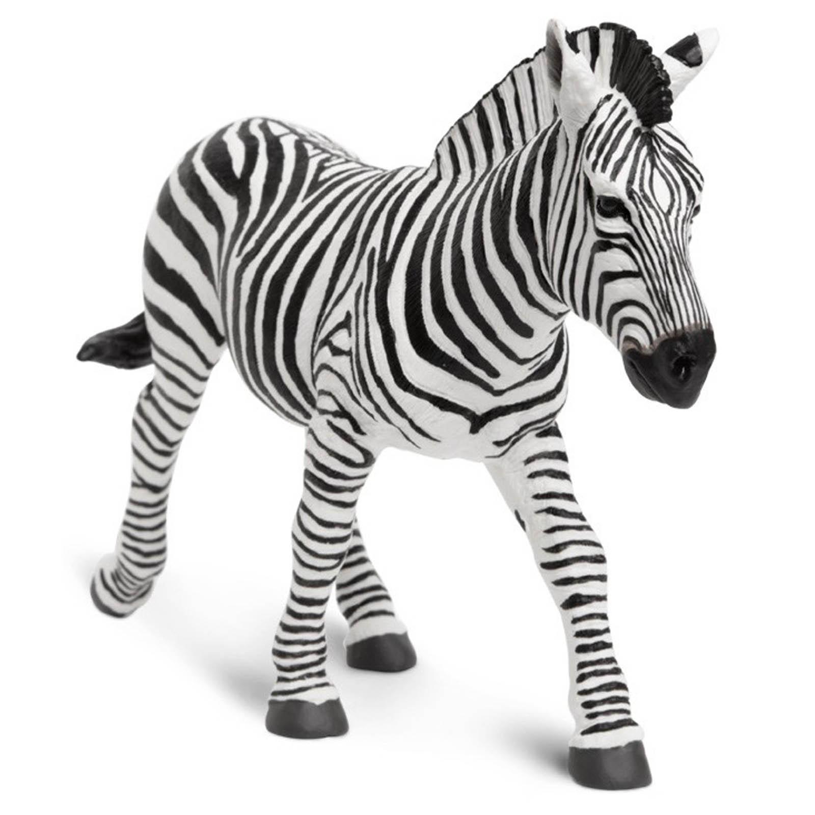 safari ltd zebra