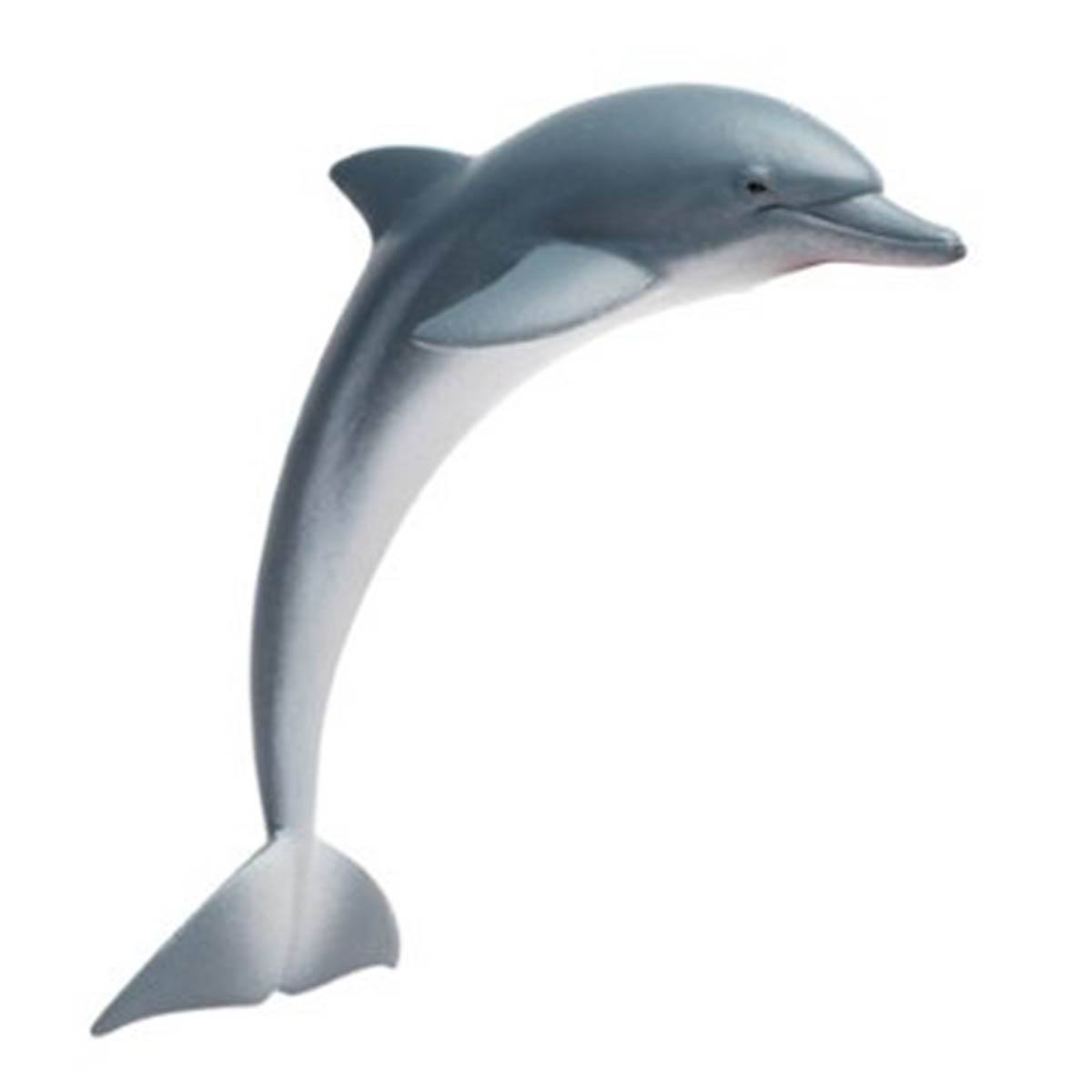 Dolphin Animal Figure Safari Ltd Kids 