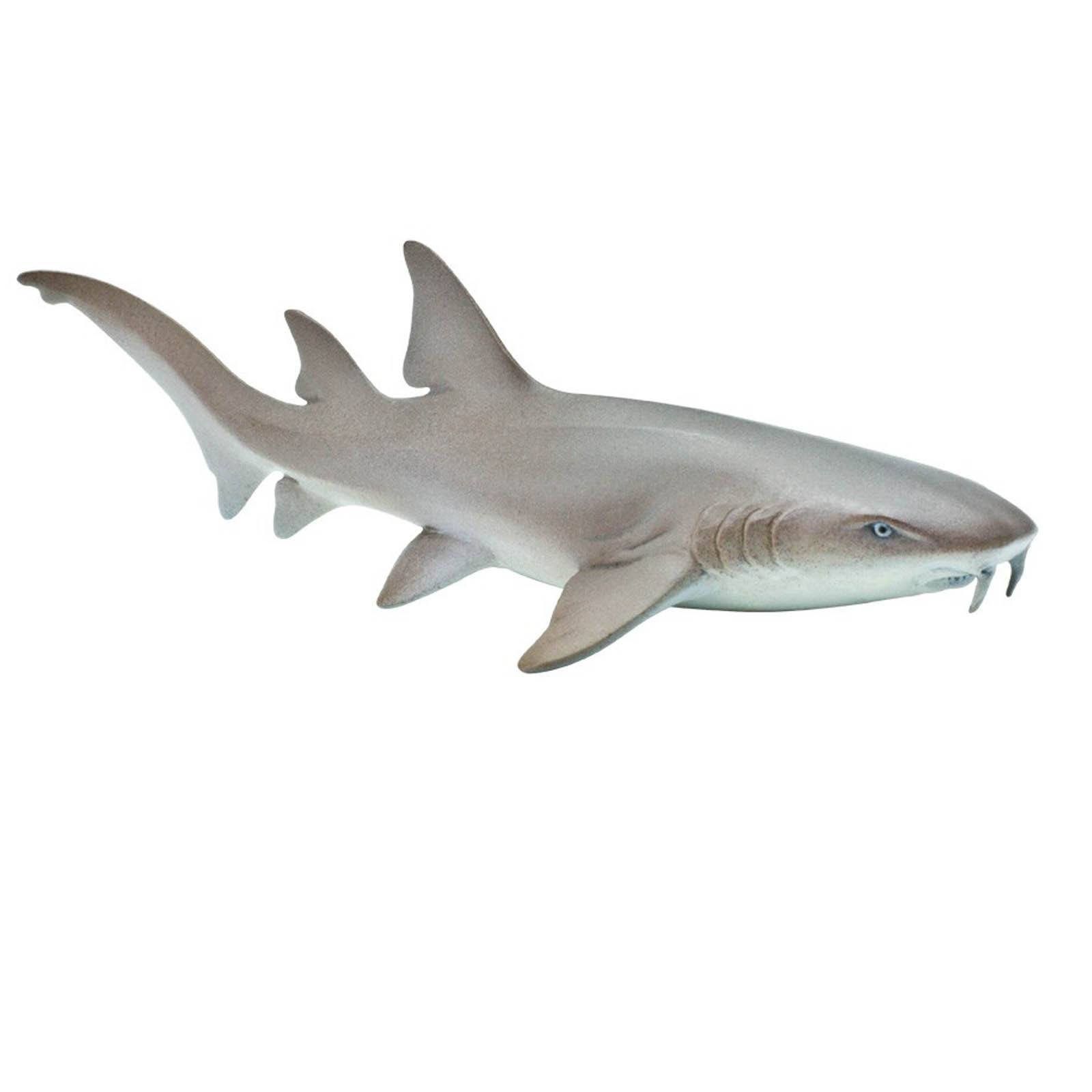 nurse shark toy