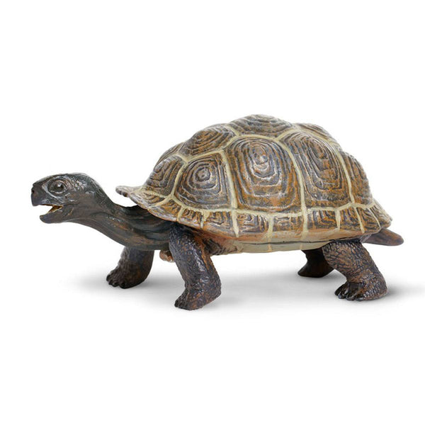 Tortoise Baby Figure Safari Animal Figures Kids Turtles – Radar Toys