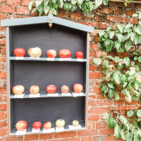 An apple diorama at Audley End House & Gardens