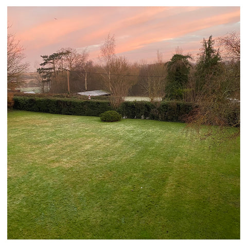 Morning Sunrise in the countryside with pink skies over frosty fields