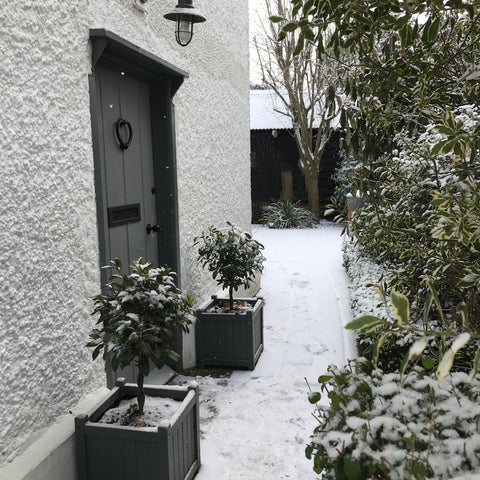 A snowy Rhubarb Cottage