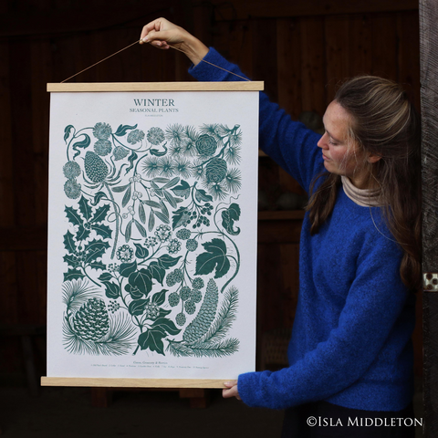 The Winter botanical illustration by Isla Middleton