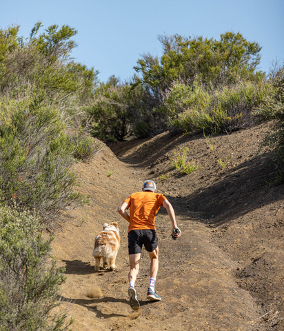 Jason and dog train run