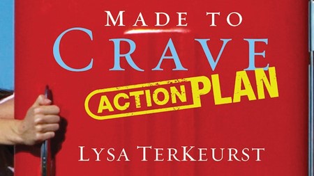 Made to Crave Action Plan by Lysa TerKeurst