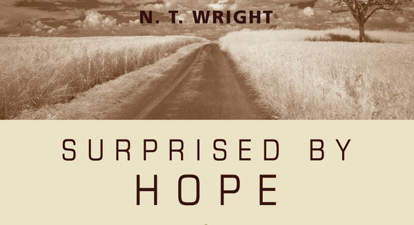 Bible Study on Revelation and Hope of Heaven – Surprised by Hope Wright