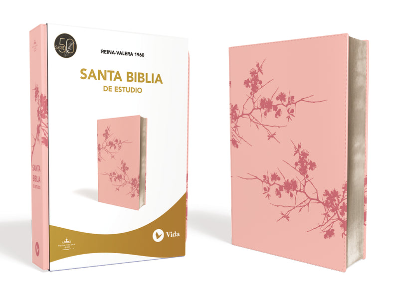 la santa biblia reina valera 1960