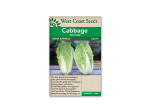Cabbage — China Express