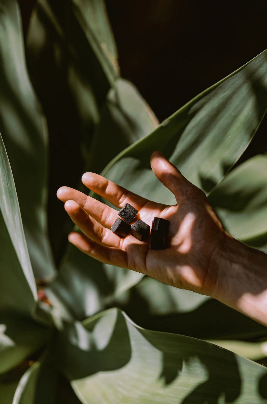 Top 14 How To Delete Prime Wardrobe Cart Mobitool